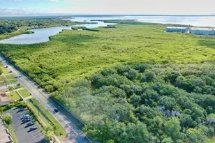 14 Seagrape Cir, Clearwater, FL 33759 - Photo 59