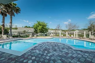 3661 Kings Rd, Palm Harbor, FL 34685 - Photo 25