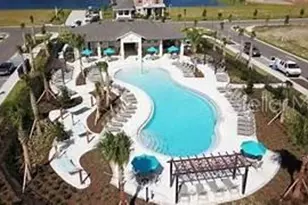 18824 Alder Glen Dr, Lutz, FL 33558 - Photo 67