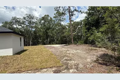 35031 Primrose Lane, Webster, FL 33597 - Photo 5