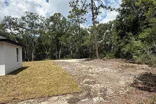 35031 Primrose Ln, Webster, FL 33597 - Photo 5