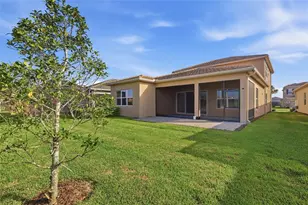 32801 Tree of Life Ave, Wesley Chapel, FL 33543 - Photo 37