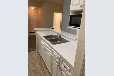 17110 Carrington Park Drive #825, Tampa, FL 33647 - Photo 19