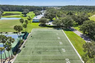 5335 Sand Crane Ct, Wesley Chapel, FL 33543 - Photo 53