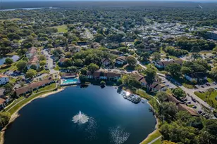 2687 Pine Ridge Way S, Palm Harbor, FL 34684 - Photo 67