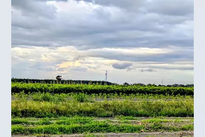 Tom Bryan Rd, Zolfo Springs, FL 33890 - Photo 13