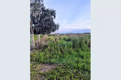 Tom Bryan Rd, Zolfo Springs, FL 33890 - Photo 7