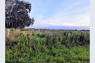 Tom Bryan Rd, Zolfo Springs, FL 33890 - Photo 1
