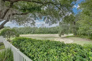 1808 Tangledvine Dr, Wesley Chapel, FL 33543 - Photo 59