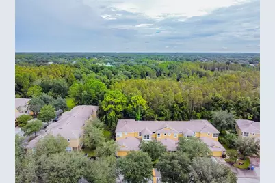 8116 Stone Path Way, Tampa, FL 33647 - Photo 7