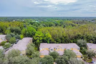 8116 Stone Path Way, Tampa, FL 33647 - Photo 7