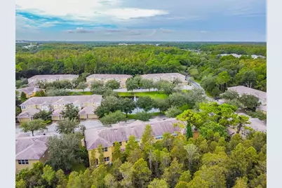 8116 Stone Path Way, Tampa, FL 33647 - Photo 13