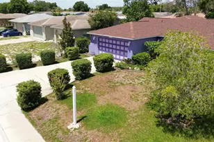 9836 Morehead Ln, Port Richey, FL 34668 - Photo 3