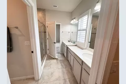 18217 Falling Pine Needle Lane, Land O Lakes, FL 34638 - Photo 21
