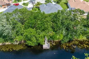 21629 Silver Bay Pl, Land O Lakes, FL 34637 - Photo 31