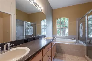 21629 Silver Bay Pl, Land O Lakes, FL 34637 - Photo 87