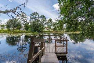 21629 Silver Bay Pl, Land O Lakes, FL 34637 - Photo 45