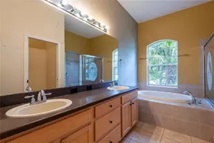 21629 Silver Bay Pl, Land O Lakes, FL 34637 - Photo 33