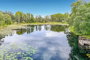 21629 Silver Bay Pl, Land O Lakes, FL 34637 - Photo 45