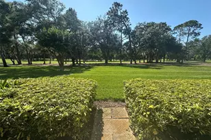 36750 US Hwy 19 N, Palm Harbor, FL 34683 - Photo 13
