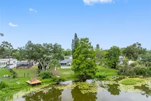 126 W Grapefruit Cir, Clearwater, FL 33759 - Photo 57