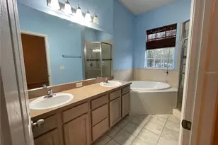 14017 Citrus Crest Cir, Tampa, FL 33625 - Photo 29