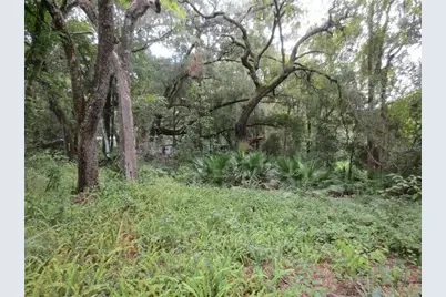 16865 SE 3rd Place, Silver Springs, FL 34488 - Photo 19