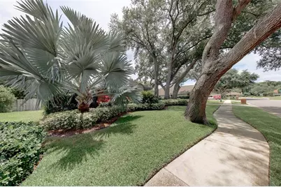 276 Sheffield Circle W, Palm Harbor, FL 34683 - Photo 61
