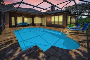 5287 Kernwood Ct, Palm Harbor, FL 34685 - Photo 53