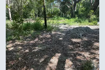 3621 Elfers Parkway, New Port Richey, FL 34655 - Photo 3