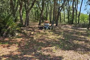 4300 W Roadrunner Ct, Homosassa, FL 34446 - Photo 1