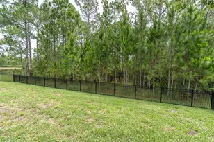 4304 Barbour Trl, Odessa, FL 33556 - Photo 53