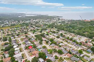 1603 Fox Run Dr, Tarpon Springs, FL 34689 - Photo 53