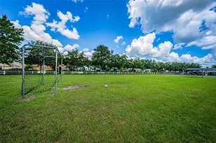 16207 Rambling Rd, Odessa, FL 33556 - Photo 75