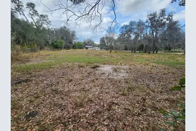 1409 Wilkinson Drive, Plant City, FL 33566 - Photo 7