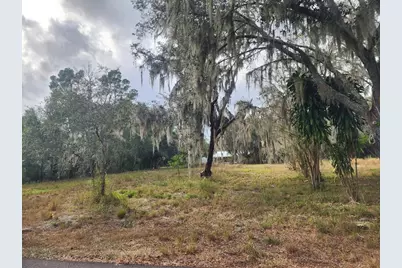 1409 Wilkinson Drive, Plant City, FL 33566 - Photo 1
