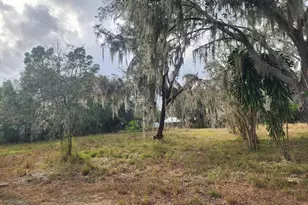 1409 Wilkinson Dr, Plant City, FL 33566 - Photo 1