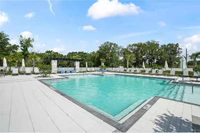 4221 Cloud Hopper Way, Lutz, FL 33559 - Photo 49