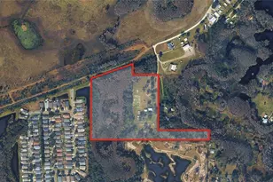 4695 Tower Rd, Land O Lakes, FL 34638 - Photo 1