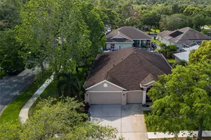 10333 Abbotsford Dr, Tampa, FL 33626 - Photo 43