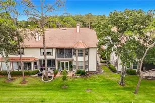 1260 Clays Trail, Oldsmar, FL 34677 - Photo 53