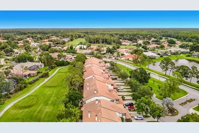 1260 Clays Trail, Oldsmar, FL 34677 - Photo 59