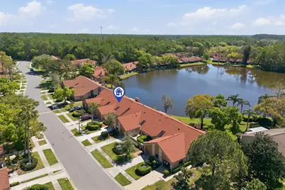 3962 Mermoor Drive, Palm Harbor, FL 34685 - Photo 9