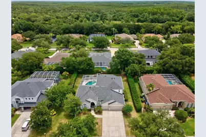 19119 Larchmont Drive, Odessa, FL 33556 - Photo 55