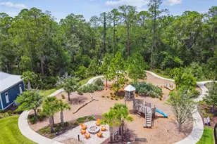 16884 Full Sun Aly, Land O Lakes, FL 34638 - Photo 67