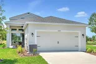 16884 Full Sun Aly, Land O Lakes, FL 34638 - Photo 3