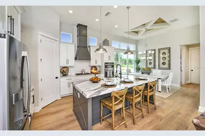16884 Full Sun Alley, Land O Lakes, FL 34638 - Photo 11