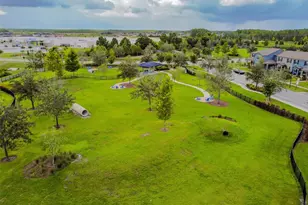 16884 Full Sun Aly, Land O Lakes, FL 34638 - Photo 79