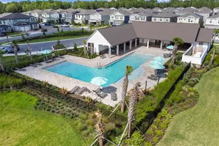 16884 Full Sun Aly, Land O Lakes, FL 34638 - Photo 83