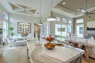 16884 Full Sun Aly, Land O Lakes, FL 34638 - Photo 19